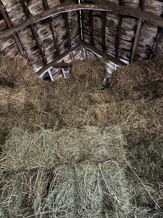 Vand baloti de lucerna