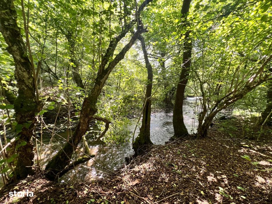A/1652 De vânzare casă de vacantă în Campu Cetații