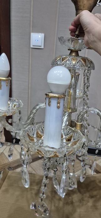 Отдам даром. Бурундай. Самовывоз