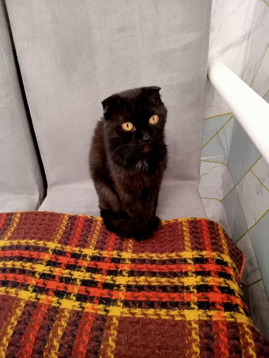 Одам добрые руки