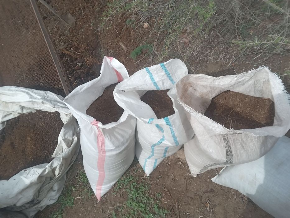 Перегной черназём