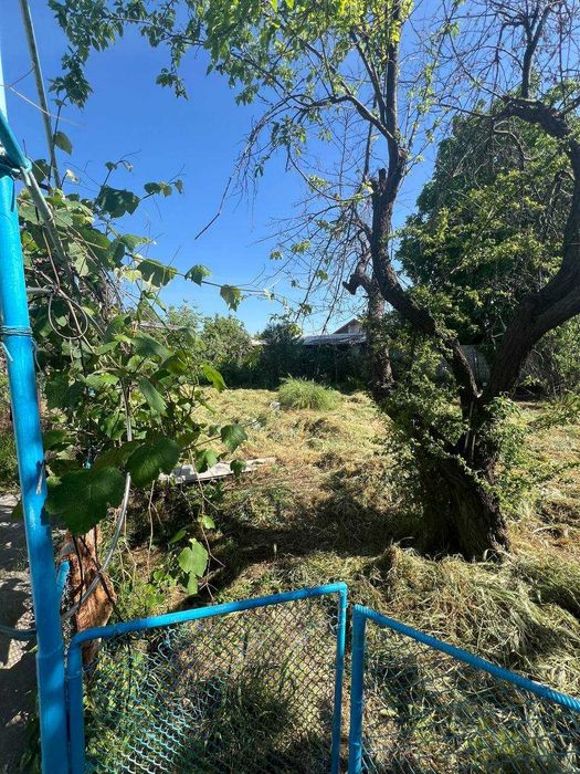 Срочно продается свой дом, Янгибазар, 13 соток