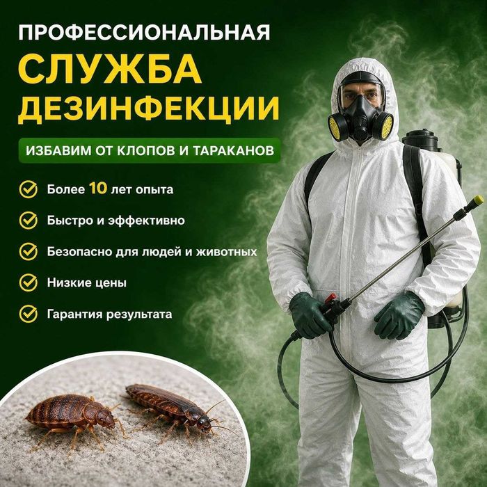 Дезинфекция Алматы — обработка от насекомых и грызунов