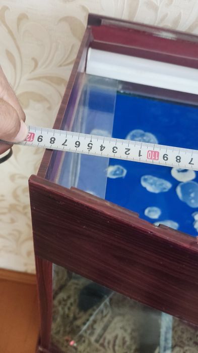 Akvarium holati yaxshi