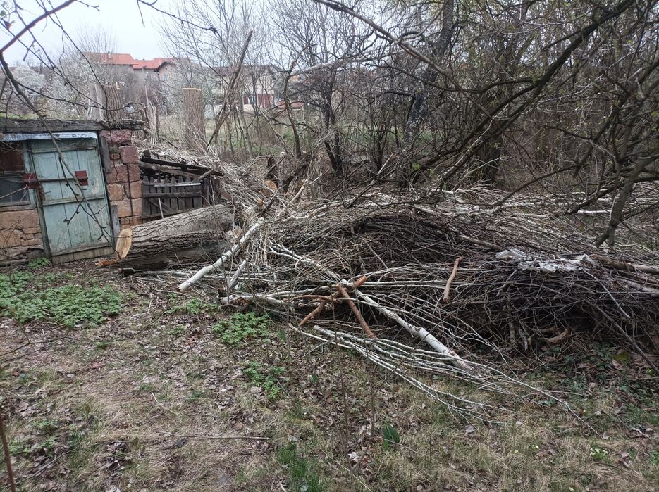 Дърва за огрев Топола,