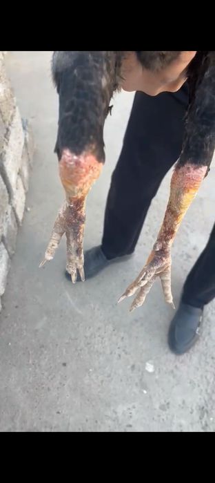 Мартский шөже сатылады