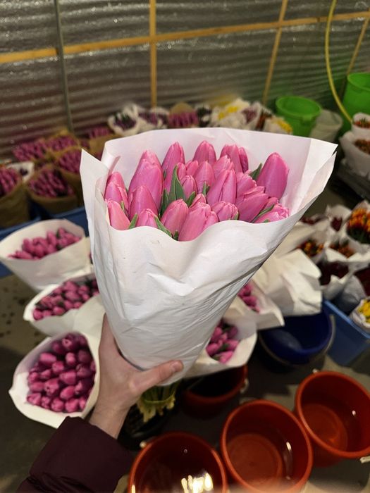 Голландские тюльпаны оптом и в розницу по низкой цене

Описание:
Поста