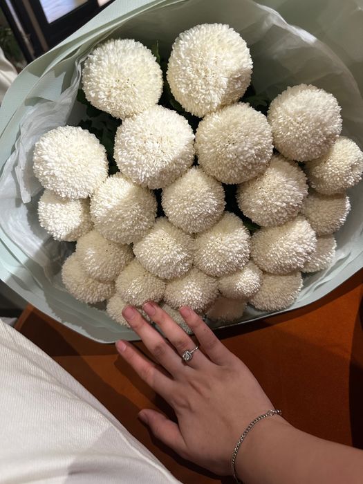 Шаровидные хризантемы (момоко)