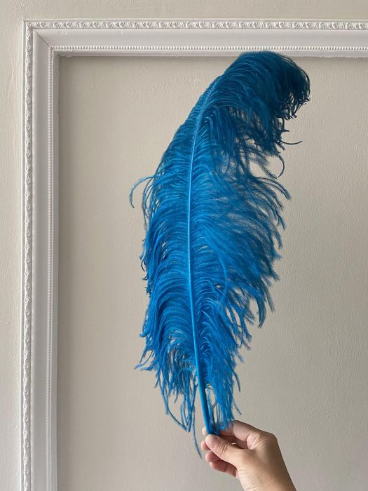 Страусиное перо, декор