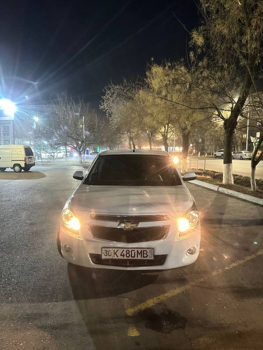 Cobalt 2024 tozza ideal