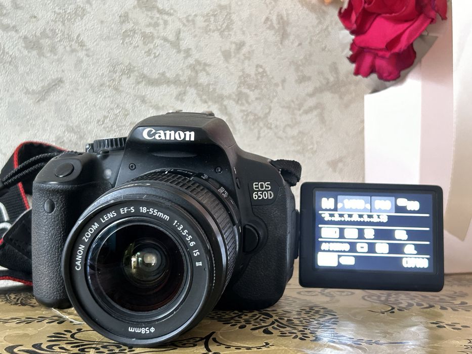 Canon 650d + 18-55mm. 2 батарейки