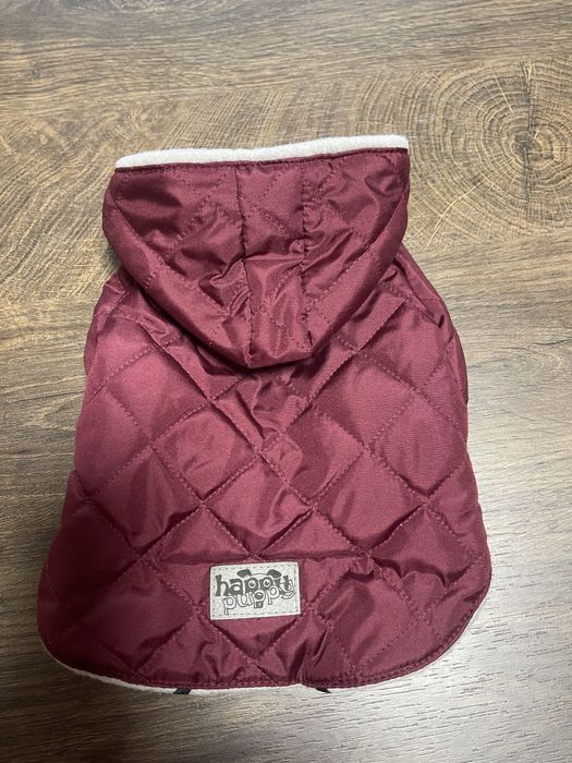 Продавам яке за домашен любимец