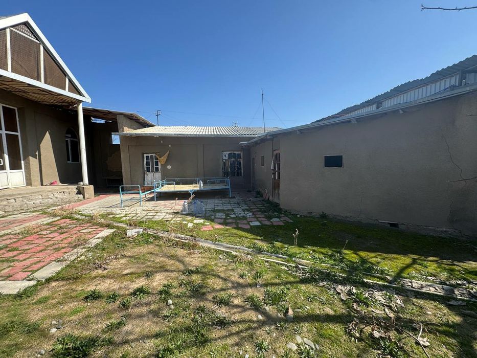 Tramatalogiyada hovli sotiladi