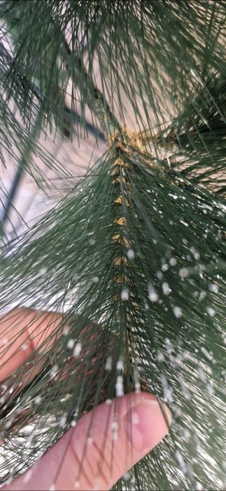 Продам елку 170 см