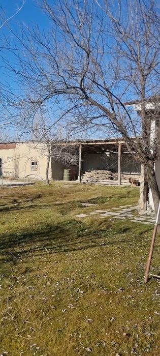 Зарафшон миллий боғи, дала ҳовли, участок, дача