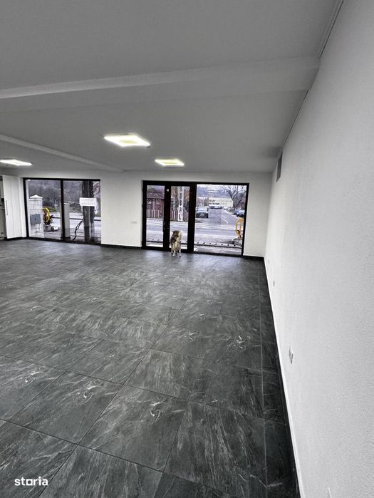 Spatiu Comercial 120 mp utili Podari