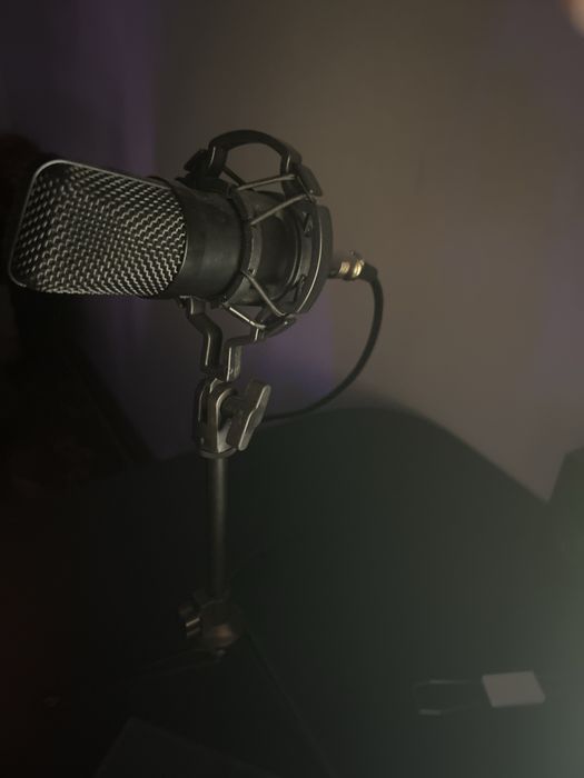 микрофон ritmix rdm 160