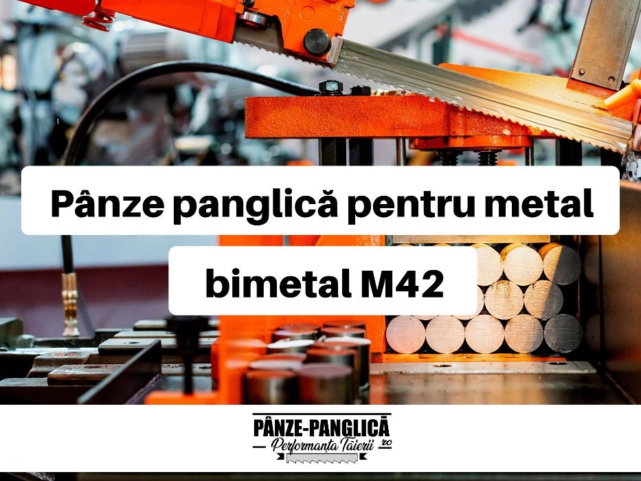 Panze panglica banzic bimetal 1735x13x0,9 ,fierastrau cu banda