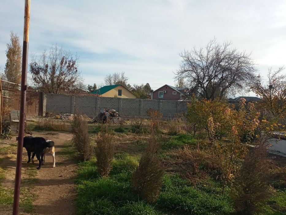 Узбекистан боги ёнида болта ер сотилади