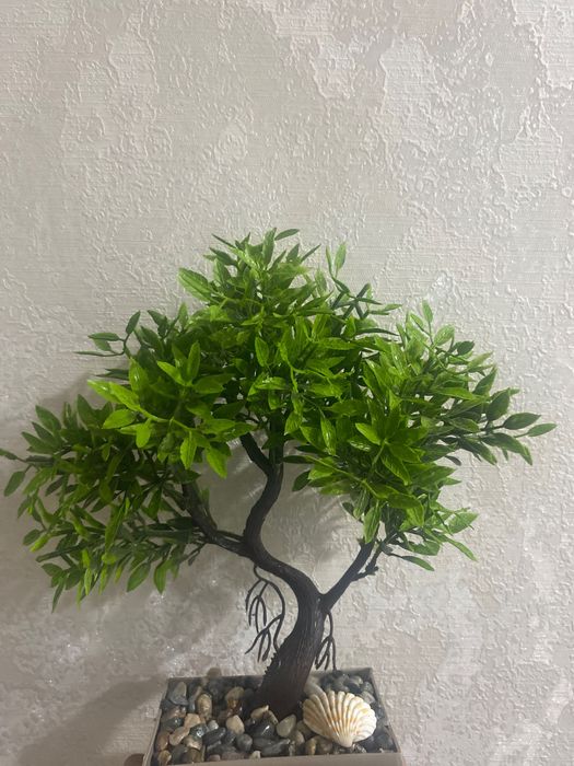 Массажист на выезд