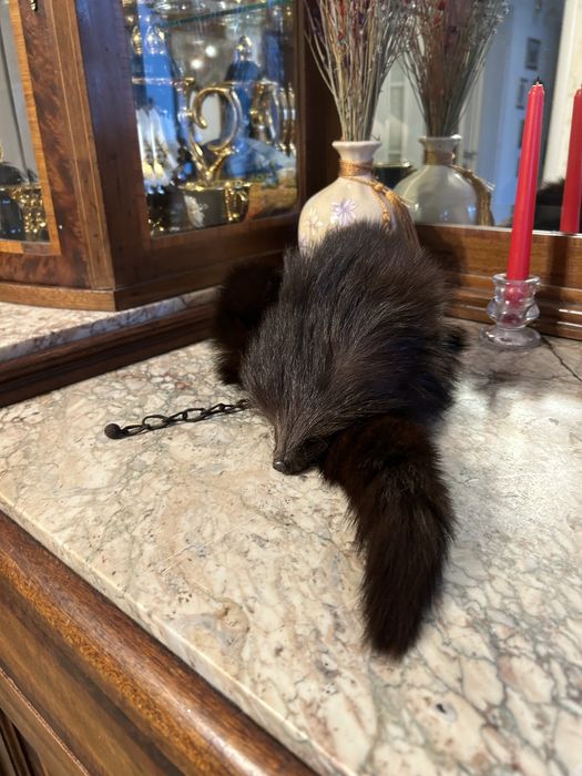 Guler blana de zibelina (samur)