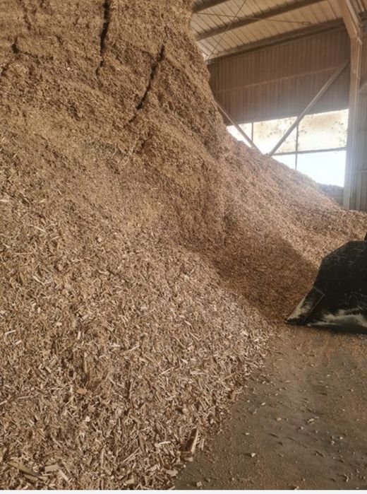 Tocatură lemn rasinoase faioase biomasa