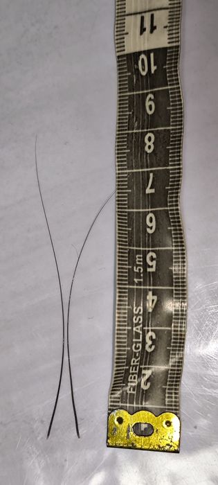 Усы кота, вибриссы.