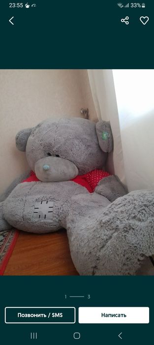 Teddy ayiq eng kottasi eng uzuni