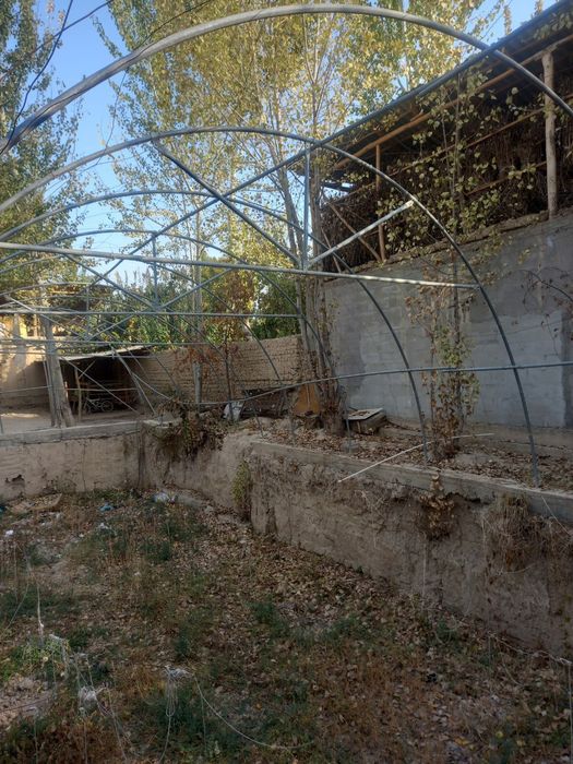 Mexmash kóchma issiqxonasi