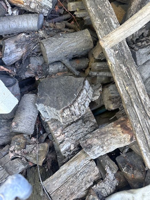 Продам дрова сухие