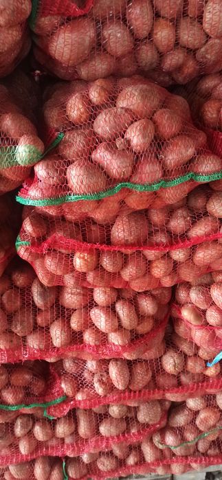 Cartofi pentru consum