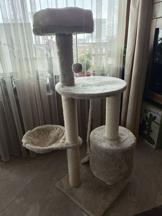 Котешка катерушка