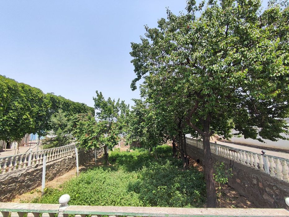 Zomindan 16 sotixli kattagina dala hovli