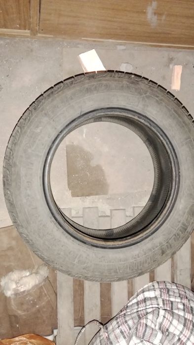 Шина всесезонка одна