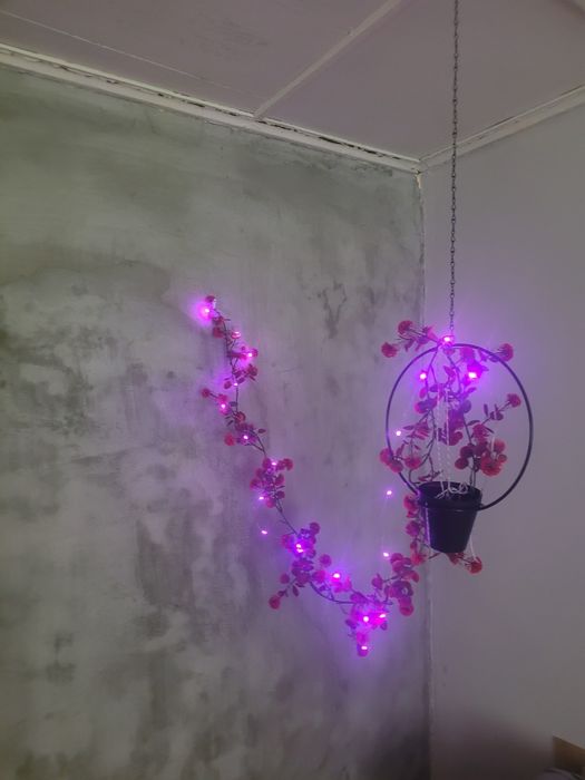 Дача  большой участок