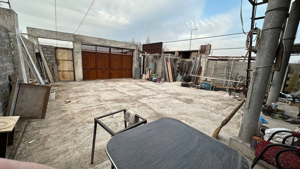 Дом свой! Янгихает Бинокор