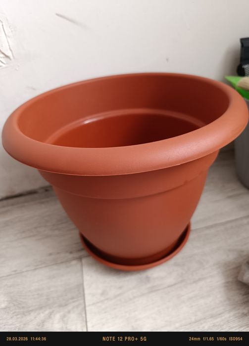 Кашпо с поддоном