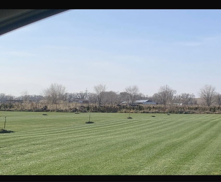 Озеленение,газон