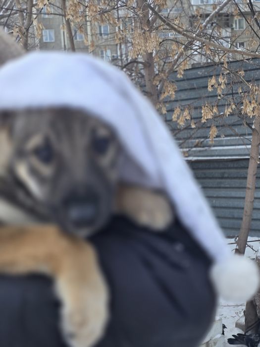 Мишелька девочка 2 месяца