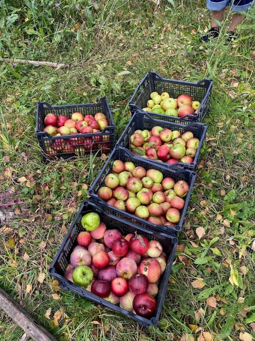 Vand teren Breaza, 10.000 mp