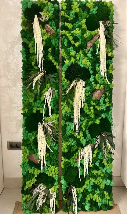 Tablouri cu licheni, muschi si plante stabilizate