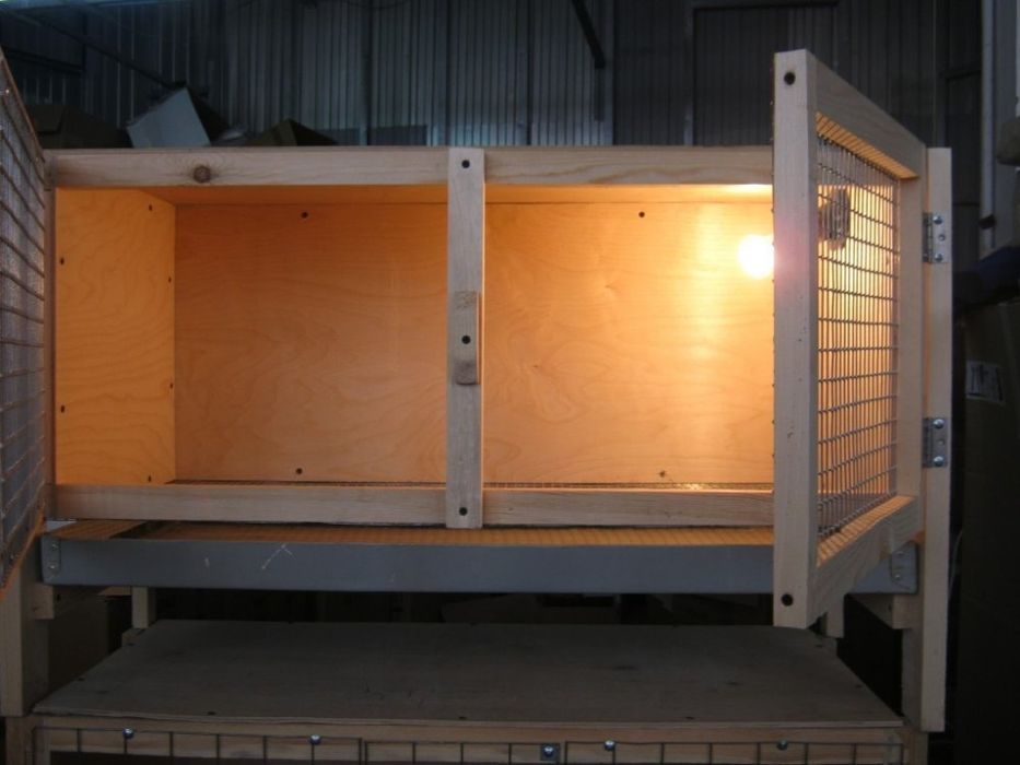 Bruder zakazga yasab beramiz