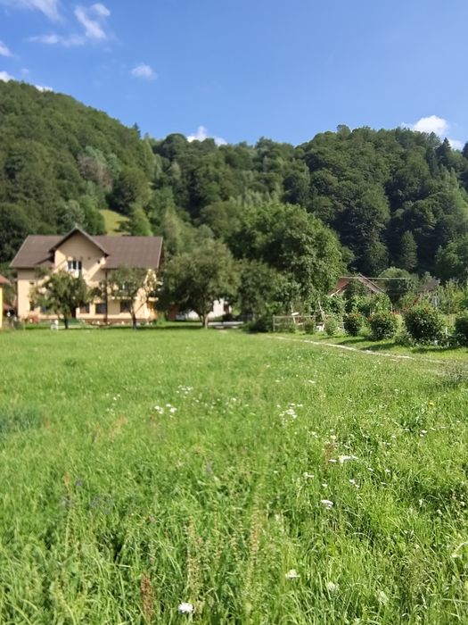 Cazare la munte Moieciu