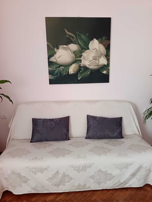 Vând canapea extensibilă 4 locuri