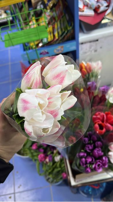 Тюльпаны по 600 тенге