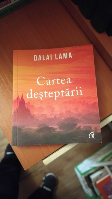 Cărți 10 lei bucata