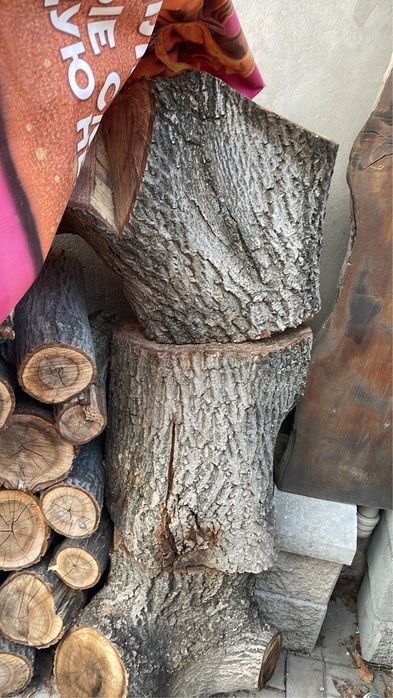 Орех, дрова плодовые и строительные