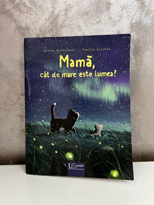 Lot carti Ioana Chicet-Macoveiciuc+altele