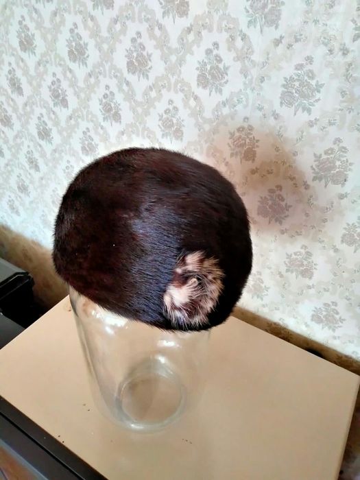 Женская шапка зима.