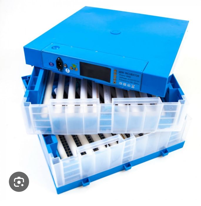 Инкубатор сатылады